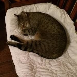 Meet your Posher, Kathy